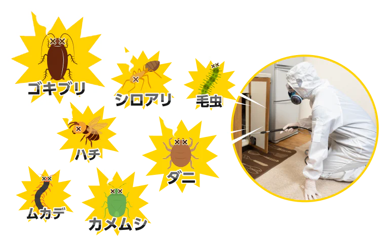 ダニ、シロアリ、ゴキブリ、カメムシ、ハチ、ムカデ、毛虫