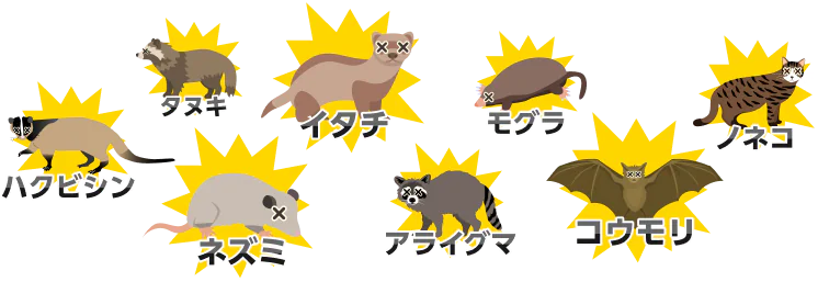 ネズミ、コウモリ、イタチ、アライグマ、モグラ、ハクビシン、ノネコ、タヌキ