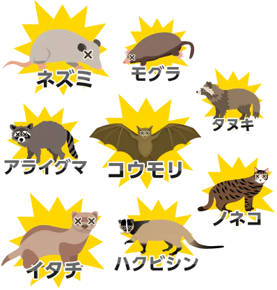 ネズミ、コウモリ、イタチ、アライグマ、モグラ、ハクビシン、ノネコ、タヌキ