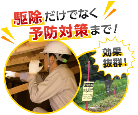 駆除だけでなく予防対策まで！