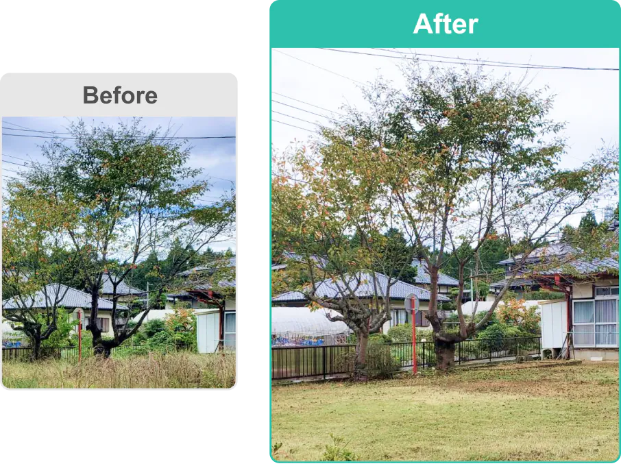 Before After