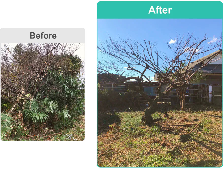 Before After