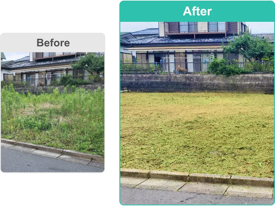 Before After